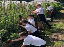 Horticulture and animal care at The Farm