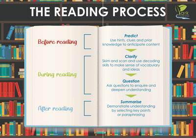 Reading Process